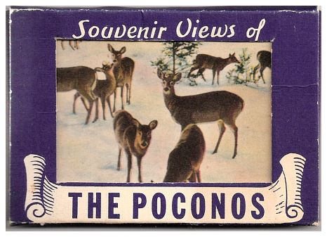 1948 - Poconos on Honeymoon.jpg
